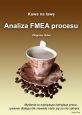 książka Analiza FMEA procesu (Wersja elektroniczna (PDF))